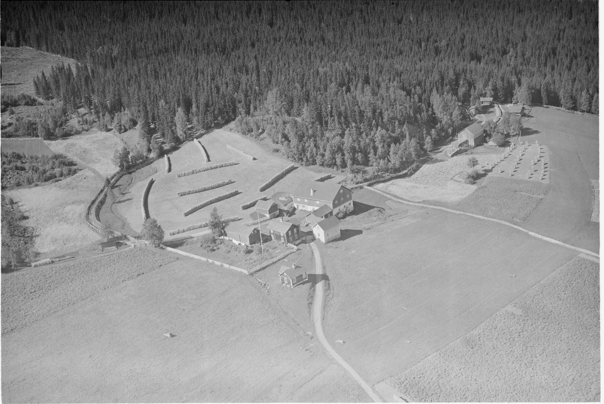 Oversiktsbilde Bergslien eller Bergslia gård, trolig Bergslia søre 143/1, Øyer, 28.08.1953, gårdsdrift, granskog, nabogård til høyre
