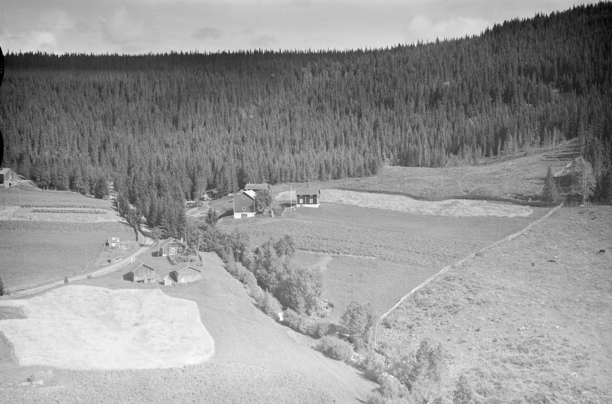 Skogli gård, Tretten, Øyer. På venstre side av Vedumsåa ligger bruket Vedumsstugua. Jordbruk, slåttonn, hesjing, granskog