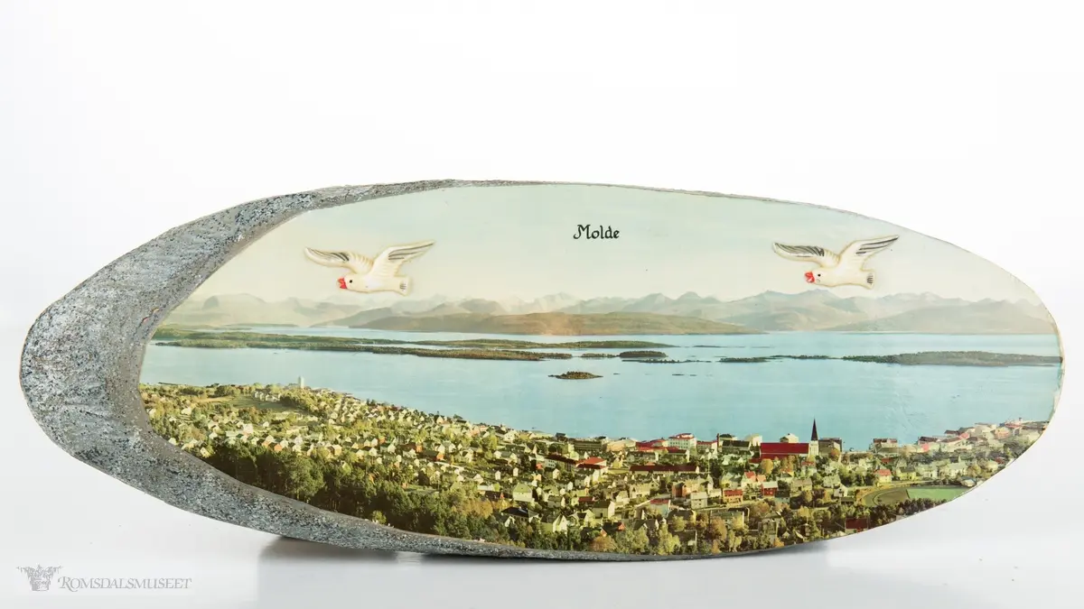 Fotografi av Molde- panorama med Molde by i forkant, fjorden, holmene og fjellene i bakgrunnen. To flyvende plastmåker er pålimt på hver side av motivet.