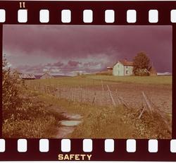 Fra Nesset i Levanger.