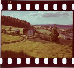 Gåprd på Ndesset i Levanger.