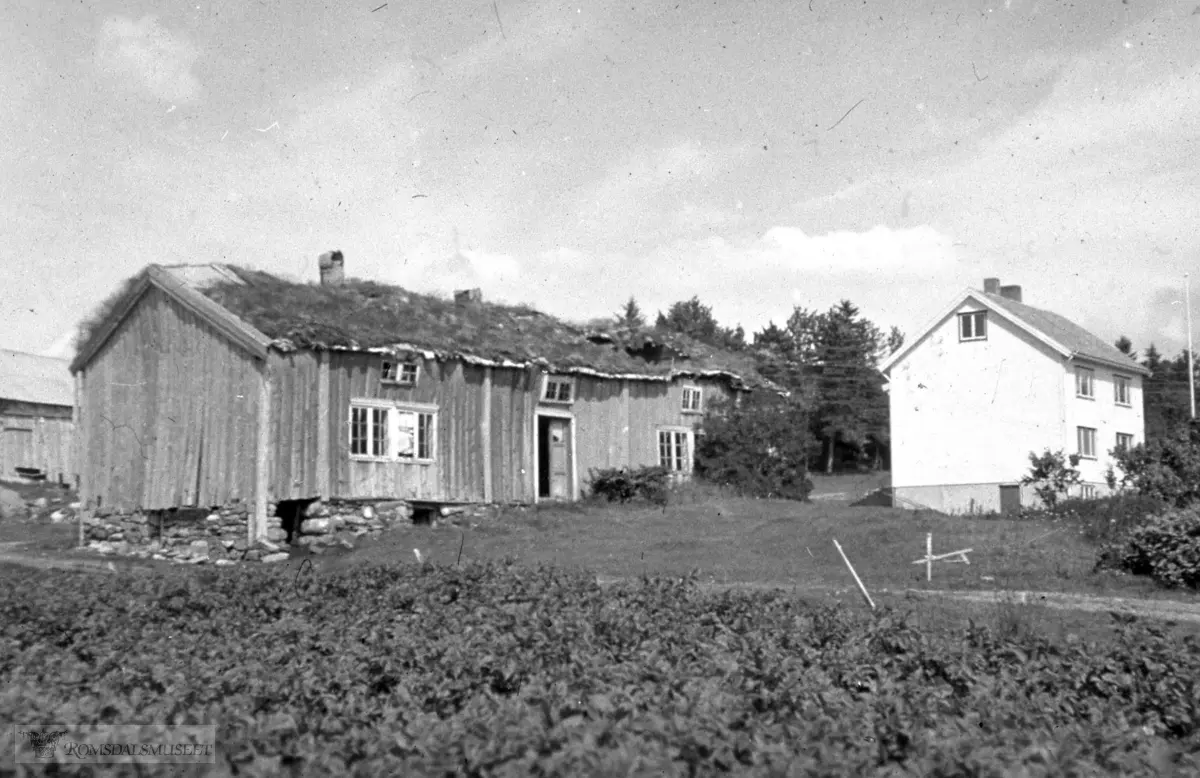 ..(Esken er merket "Drågen Geitneset 1963, Bolsøya 1964, Hustad 1964, Bud 1964")