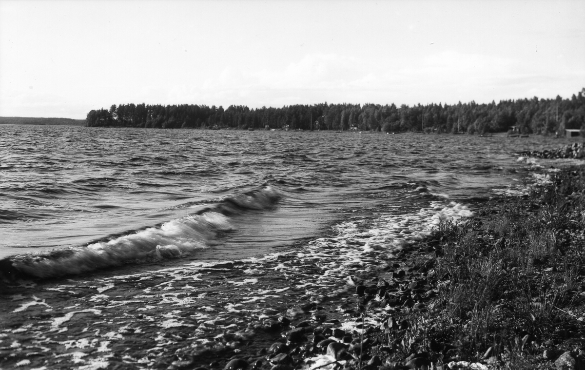 Vågor mot Storsjöns strand. Foto 1938.