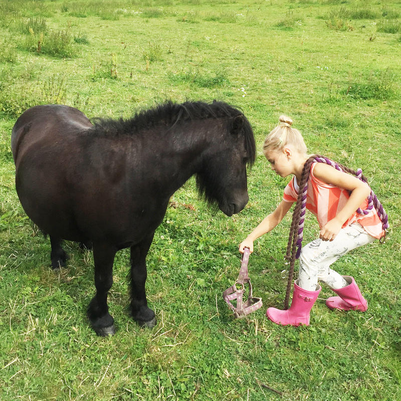 En jente og en liten hest står ute på beite. 