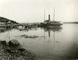 D/S 'Beta' (Ex. Patriot)(b.1869, Reiherstieg Schiffswerfte &