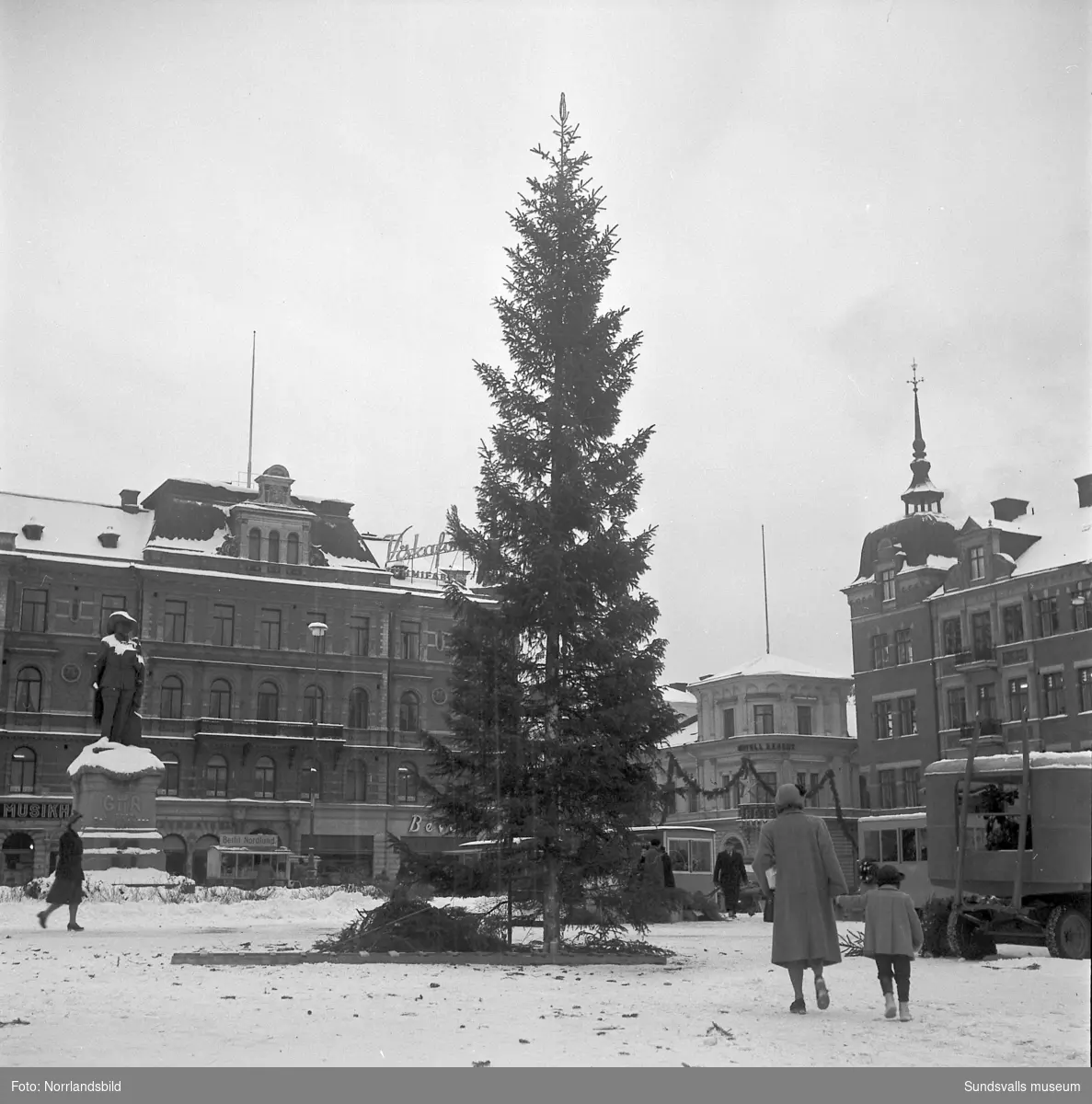 En stor julgran riggas på Stora torget 1951.