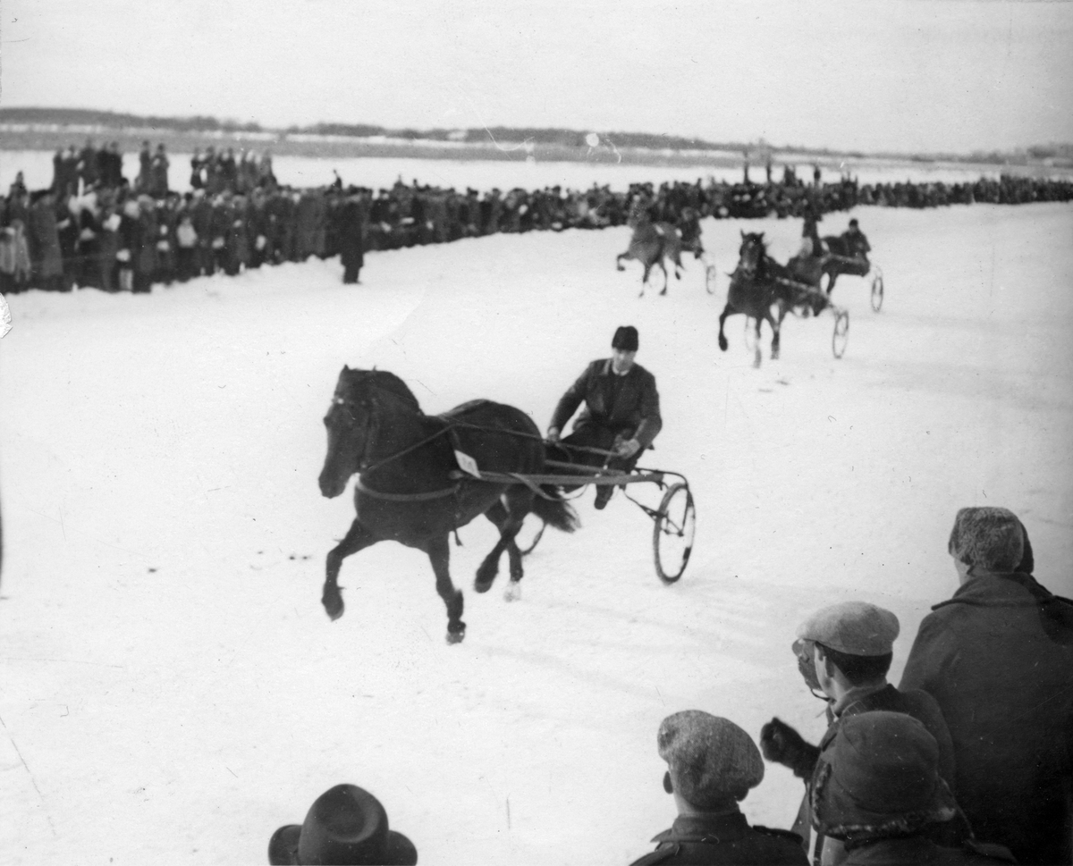Travtävling på Mälaren, 1946-47.Blacken deltar.