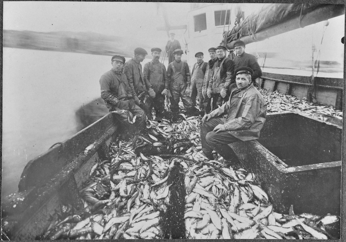 Fra storsildfiske i 1926. Kutter "Lines" fra Hemne.