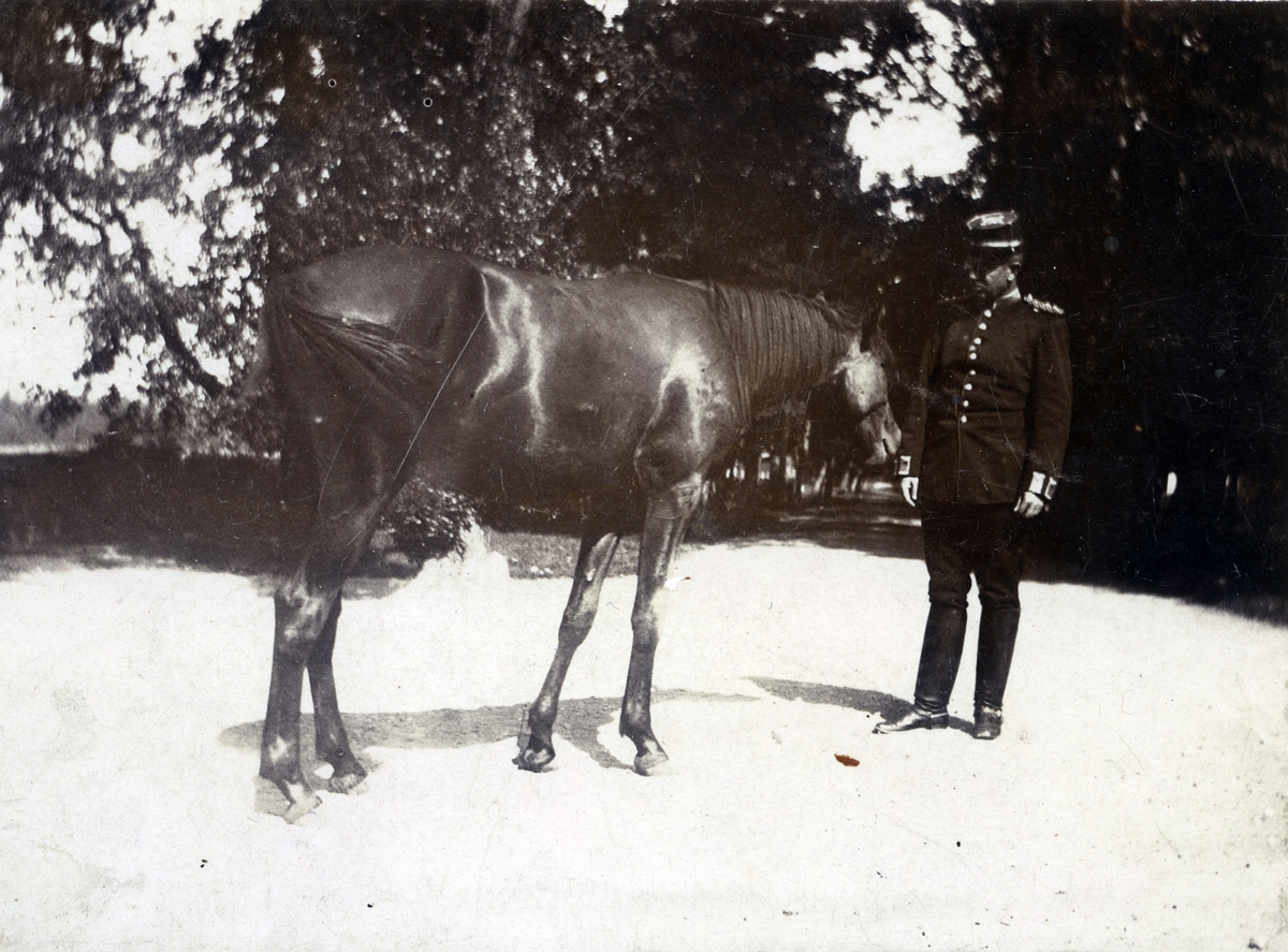 Otto Stålhammar och hästen Afrodite i Salshult.