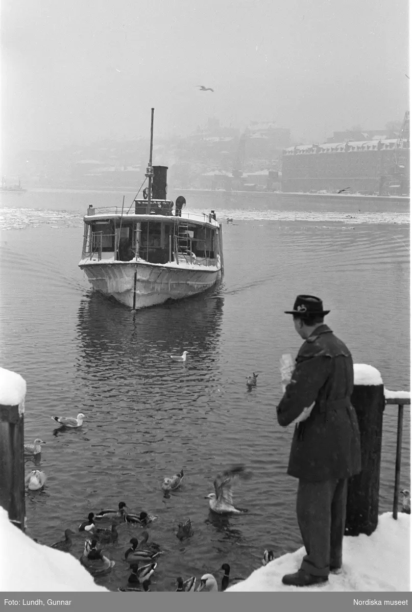 En färja lägger till vid kajen, där en man står och matar sjöfåglar. Strömmen, Stockholm.