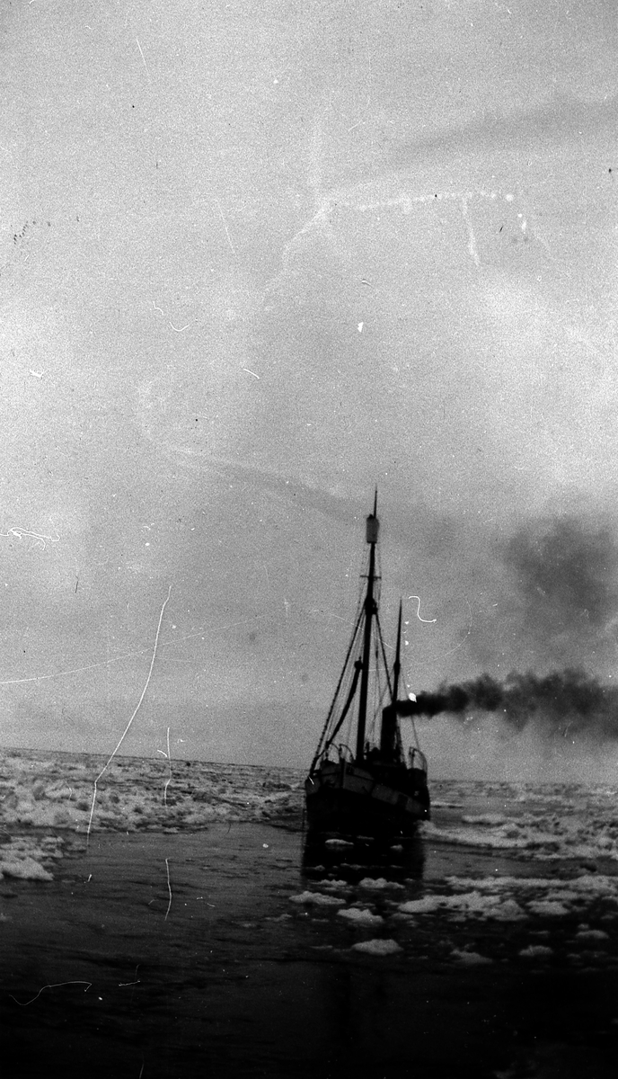 Ishavsskuten "Vesterhav" av Ålesund i 1927