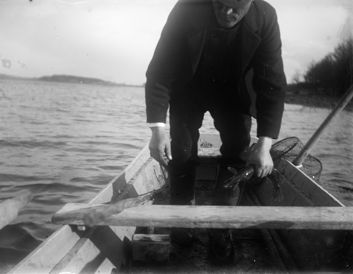 August Alinder vittjar en ryssja i båten, Altuna socken, Uppland