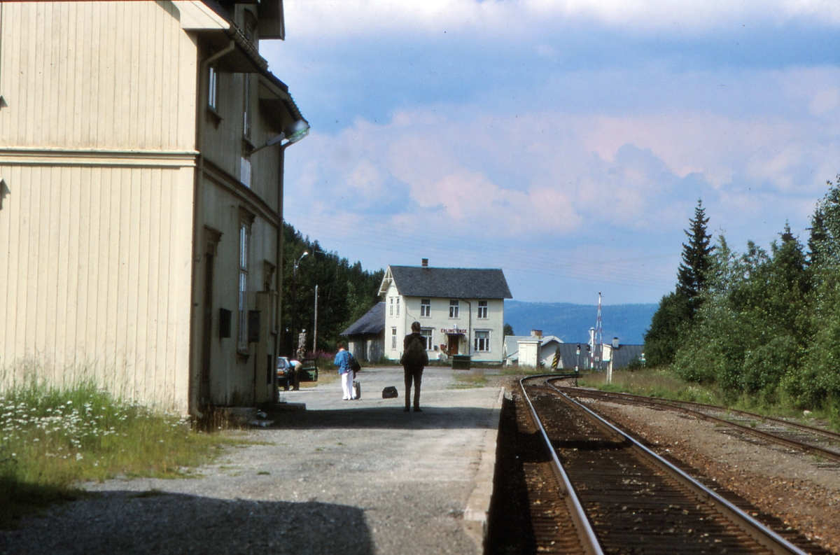 Stasjonsidyll. Reisende venter på toget i Tonsåsen stasjon.