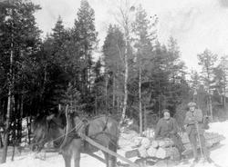Tømmerkjøring i Tårnbyskogen i Rømskog i 1930-åra.
På lasset