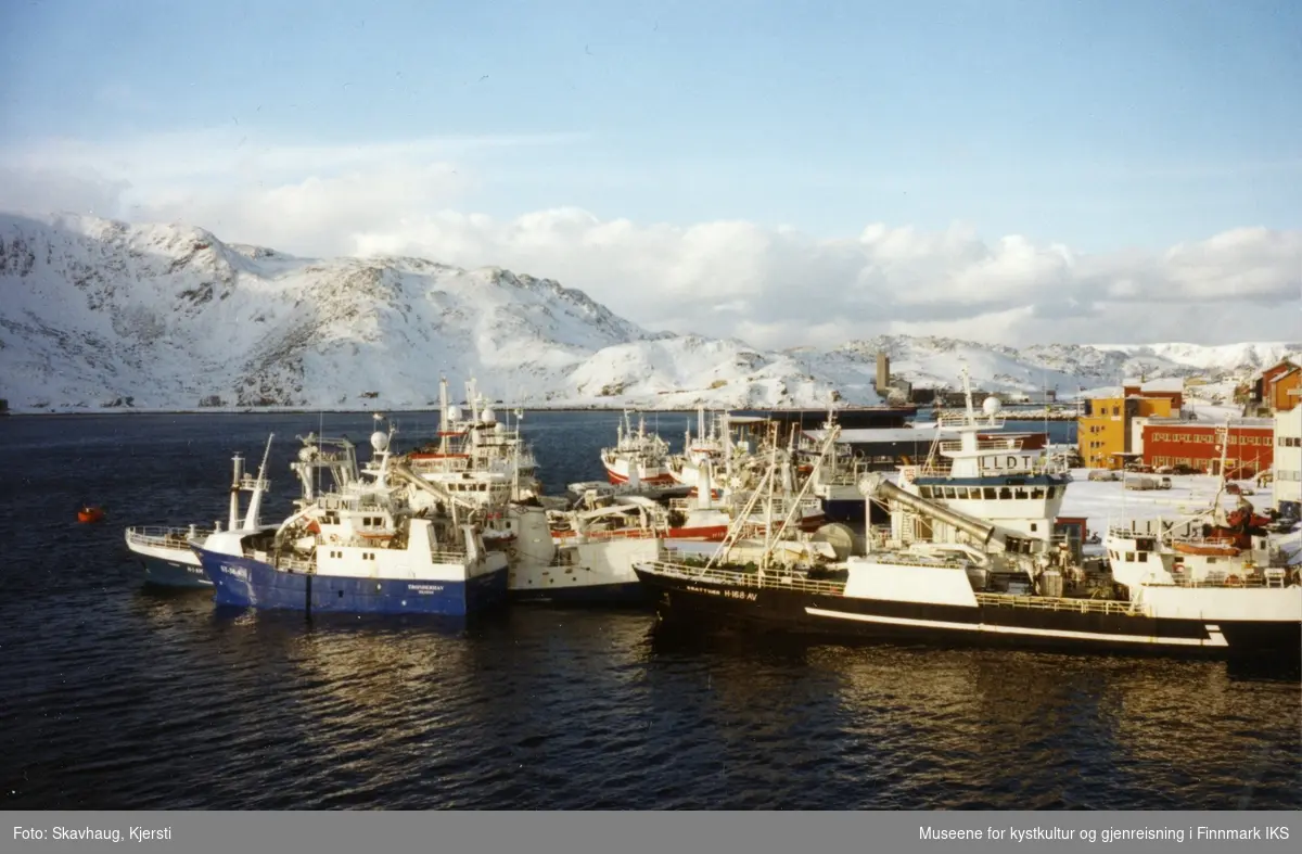 Loddesesong i Honningsvåg. Bilde ble tatt fra Hurtigruta. Mars 2003.