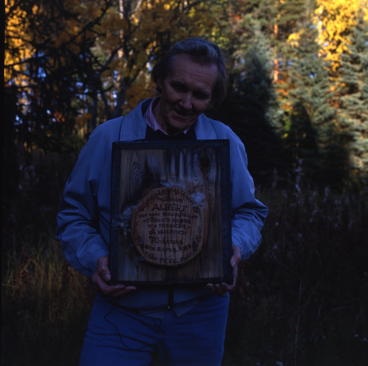 En man står vid skogsbrynet med ett tak till kniplholk i händerna, Ängratörn 28 september 1993.