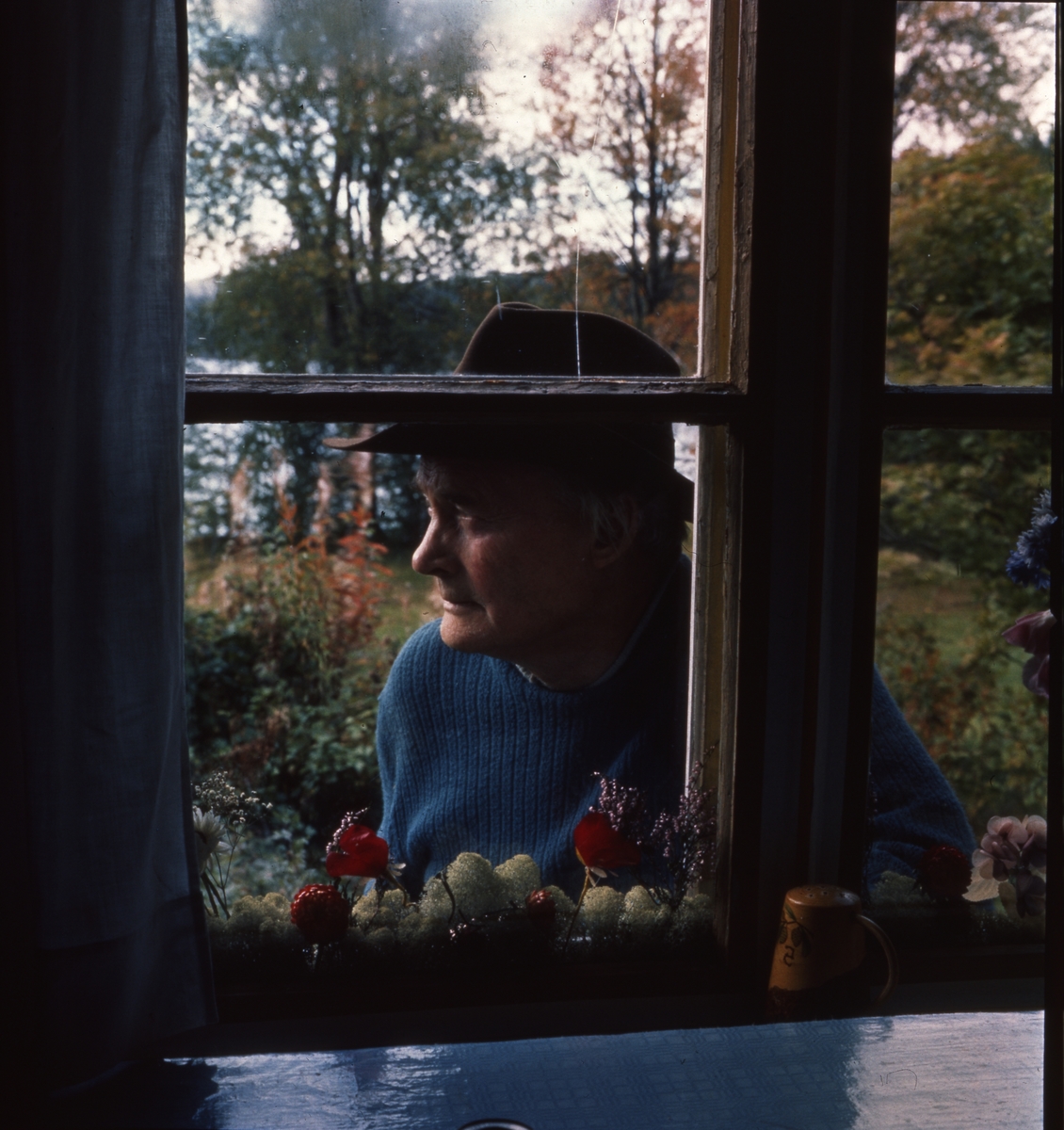 Författaren Albert Viksten iklädd tröja och hatt står utanför ett av fönstren till sitt torp vid Ängratörn.