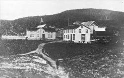 Gården i Harstadhamn.