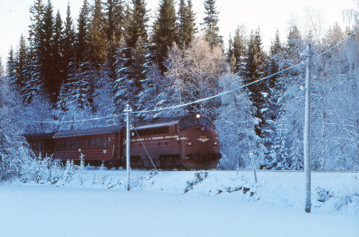 Persontog med NSB dieselelektrisk lokomotiv Di 3 623 kjører ut fra Trevatn stasjon på vei mot Fagernes.