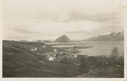 Prospektkort flere gårdstun i klynge på Godøy. (Gøygaren?) F