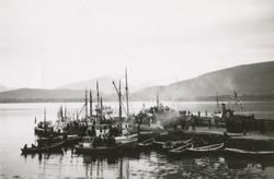 Fiskebåter ved Borgundkaia.