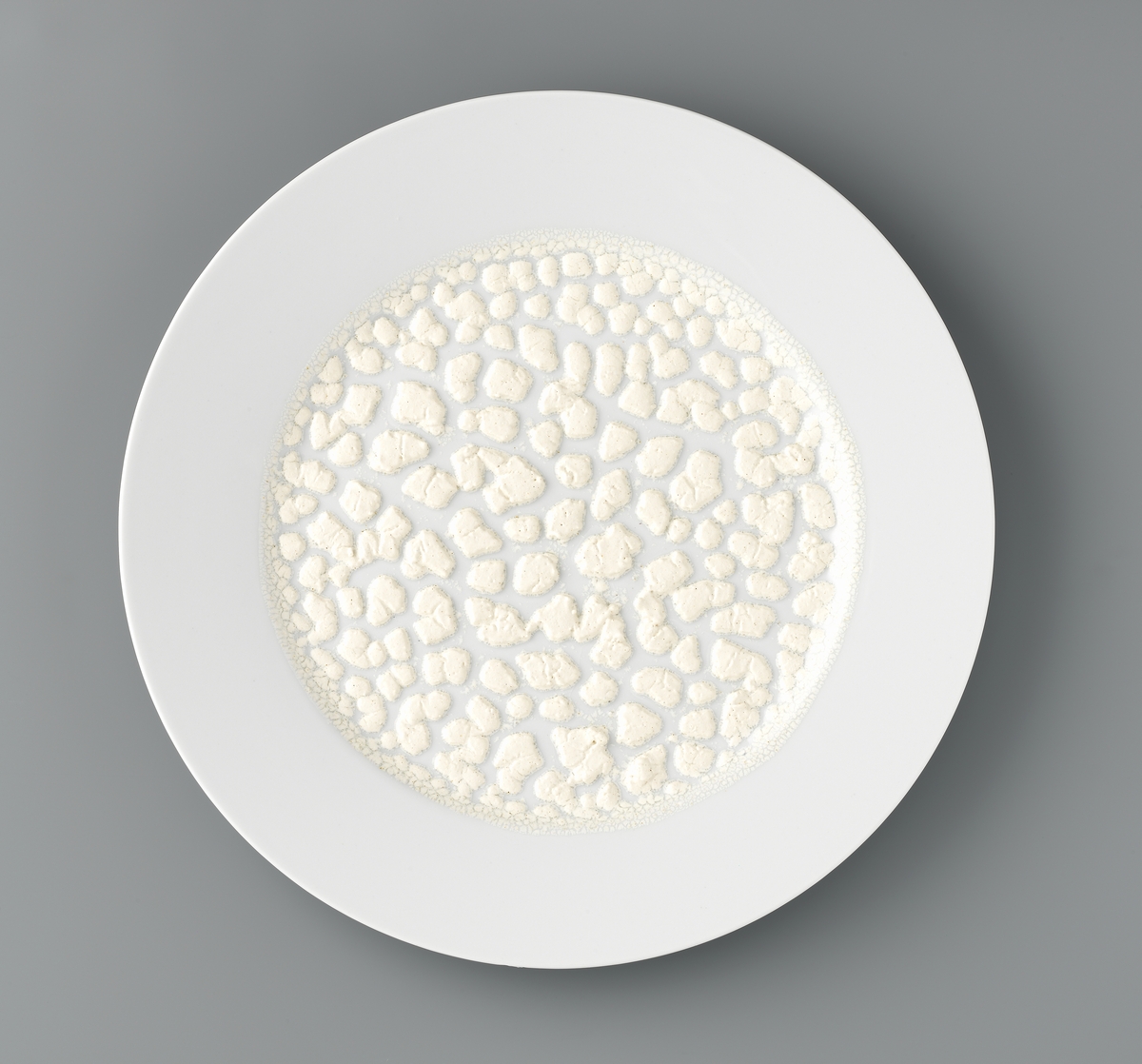 Monokromer [Installasjon]