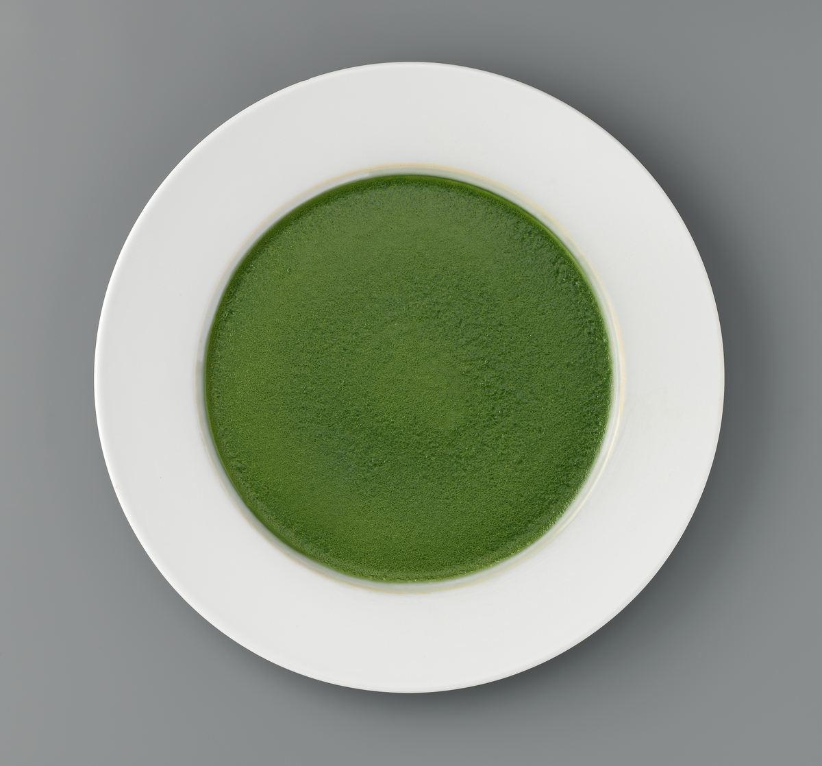 Monokromer [Installasjon]