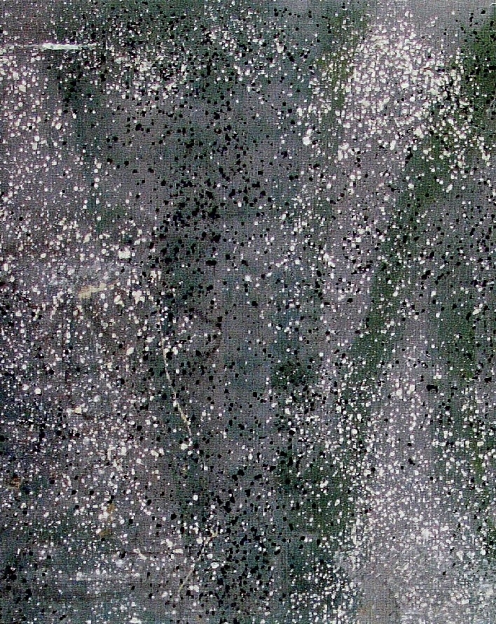 Stänkmålning på spännpapp i svart och vitt över en gröngrå målad botten. På den övre delen av stänkmålningen finns rester av en schablonmålning. - Stänkmålningen satt på den nedre delen av väggen.



Tillägg historik:
Tapet från salen på Järkvissle 4:16 "slottet" från ca 1850.