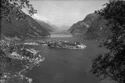 Eitrheimsneset, Det norske Zinkkompaniet, Egne Hjem, Sørfjor