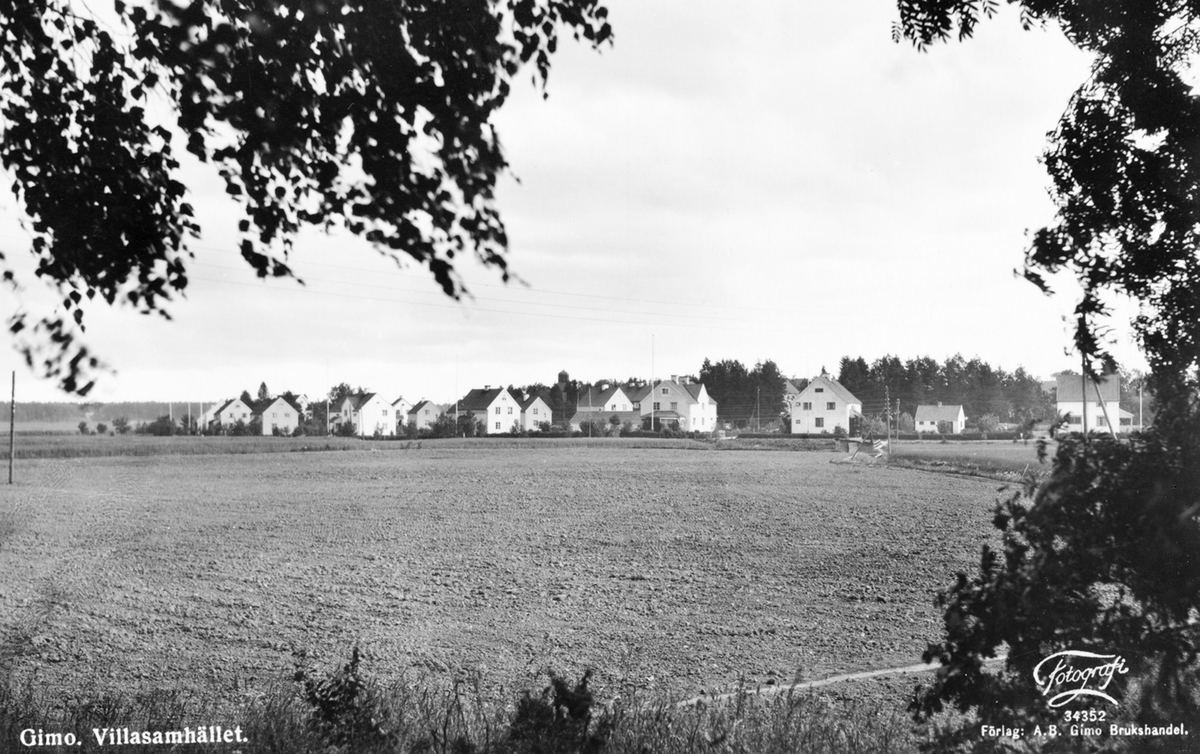 Vy över villasamhället i Gimo. Bostadshus växte upp i mängd under värsta dyrtiden 1918-1919.