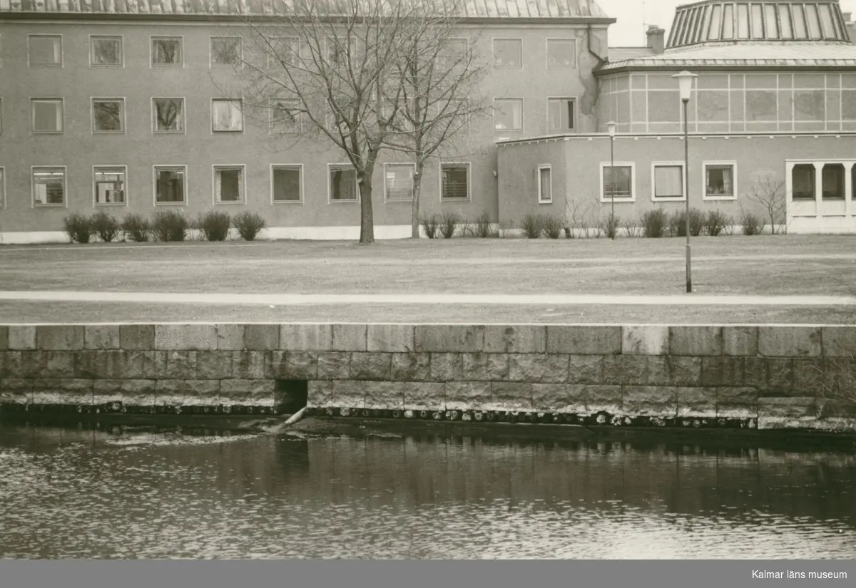 Pålning under Malmens kajkanter synlig vid Systraströmmen  nära posten vid extremt lågvatten våren 1974.