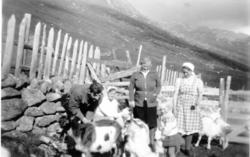 Liastølane i Hemsedal i 1943.
Frå venstre: Hans Hansen, Mag