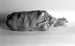 Sjokolade med tau. Ikke akkurat det man vil ha som fyll i sj