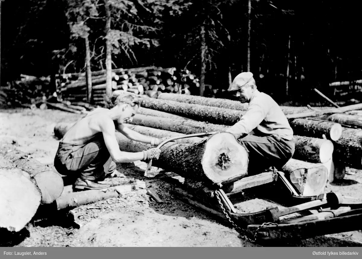 Saging av tømmer på Laugslet i Trøgstad. Skjærer ved rotende (råte), ca. 1940-45. 
Nils Jacob Jacobsen og Gunne Johansen Geiterud. Førstnevnte bodde i Oslo, men matmangelen i Oslo bragte han til Laugslet gård.