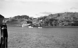 Mot Staupshaugen, bildet tatt mot Nesset  fra bysida.