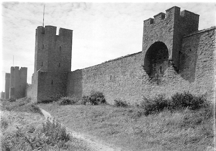 Visby ringmur. 
Nordeuropas bäst bevarade ringmur, som omsluter det medeltida Visby, uppförd av kalksten i etapper ca 1250-88 och påbyggd omkring 1300.
Den ca 3,6 km långa muren hade med Kruttornet, en kastal från 1100 -talet 29 torn varav 27 bevarats. Dessutom har nio s.k. sadeltorn av ursprungligen 22 eller 23 bevarats. Muren liksom kyrkoruinerna förvaltas nu av RAÄ.