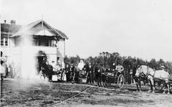 Bryllup, Hester, brudepar, Fest,