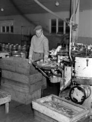 Foto av en mann i arbeid ved Astrup & Co fiskeindustri i Kri