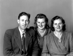 Familien Ranes. Fra Nordmøre museums fotosamlinger, Halås-ar