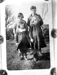 Fra Nordmøre museums fotosamlinger, Halås-arkivet.