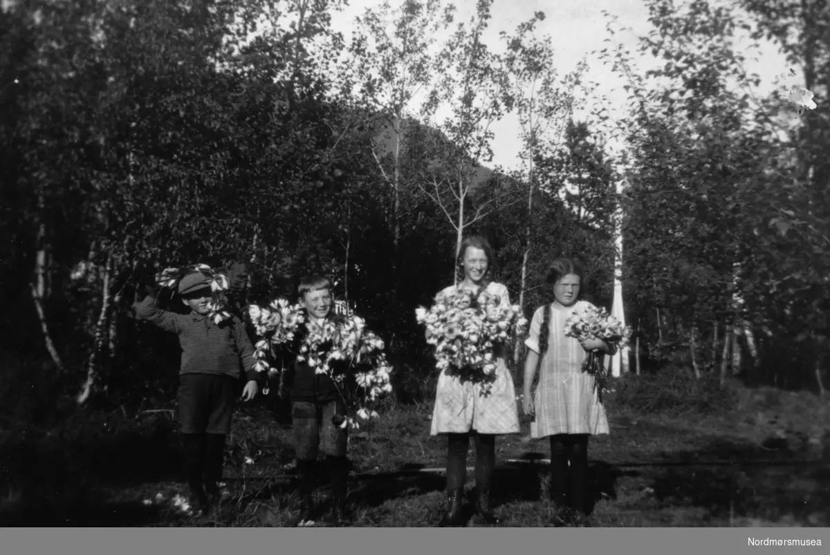 Ole Mollans hytte i Torjulvågen: vannliljer. Nr 3 fv, høyest er Laura Mollan Meese f 1914. Fra Nordmøre Museums fotosamlinger.
