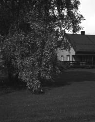 Floor Arrangements #9 [Fotografi]