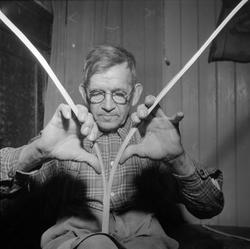 Norsk landbruks jubileumsutstilling 1959. Mann i gang med de