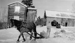 Gårdsbruk, person, hest, slede.
