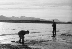 Idar Bertheussen og Ottar Hakvåg graver sil i Silsandfjæra p