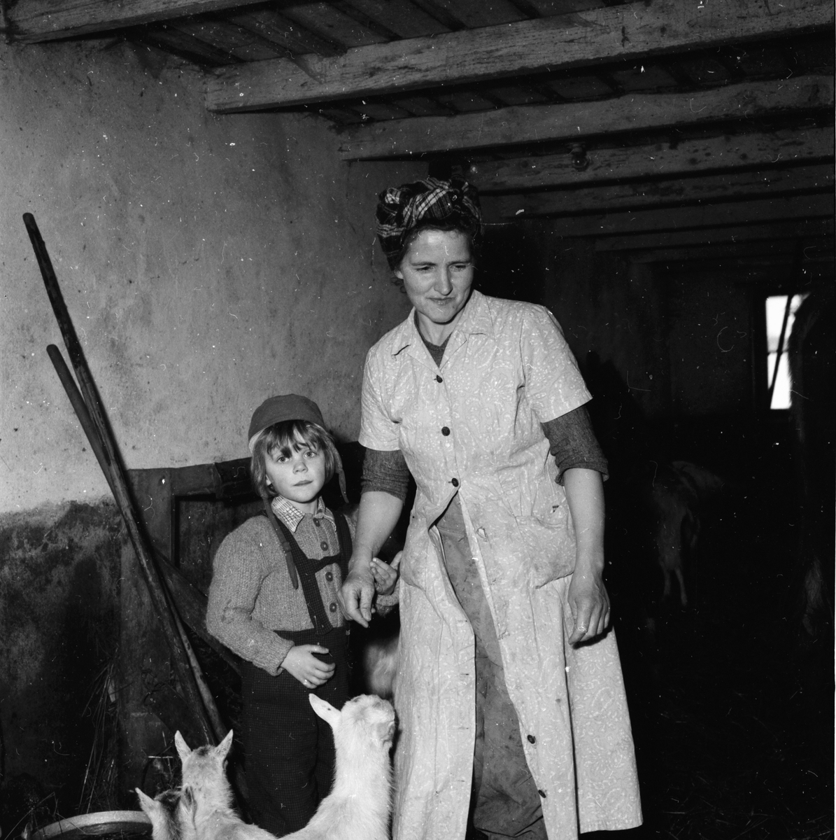 Kvinnlig jordbrukare.
Växbo 10/3 1958