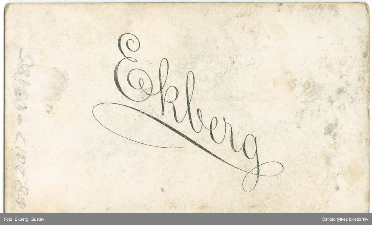 Portrett av ukjent kvinne, visittkort, ca. 1880- 1890.