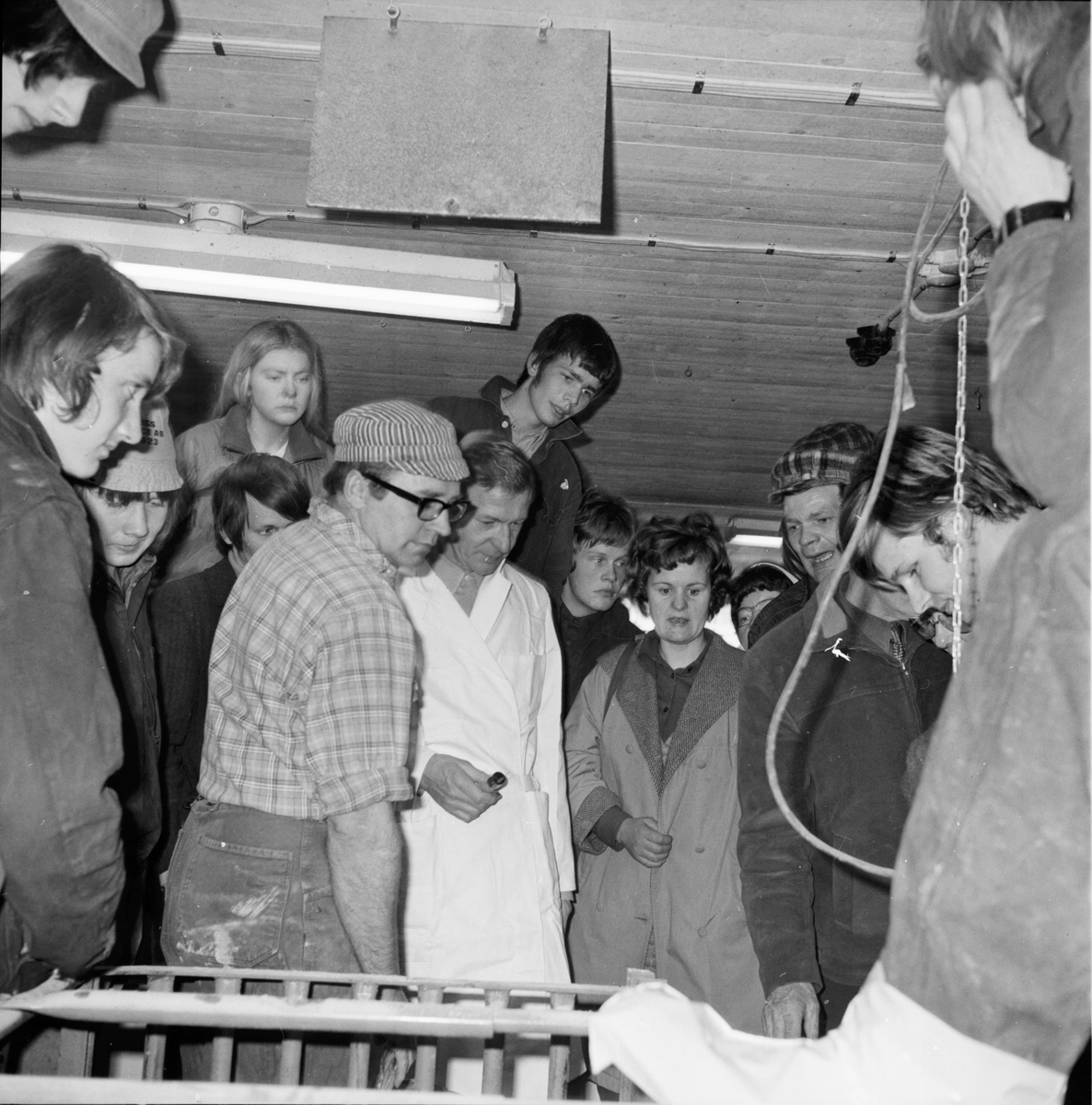Nytorp,
Svinhälsodag,
April 1972