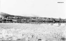 Tjønnområdet fra vestsiden mot Tron, med Rambu m. m.