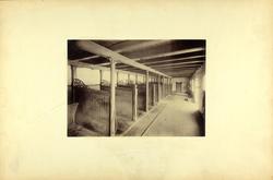 Stallinteriør på Bygdø Kongsgård